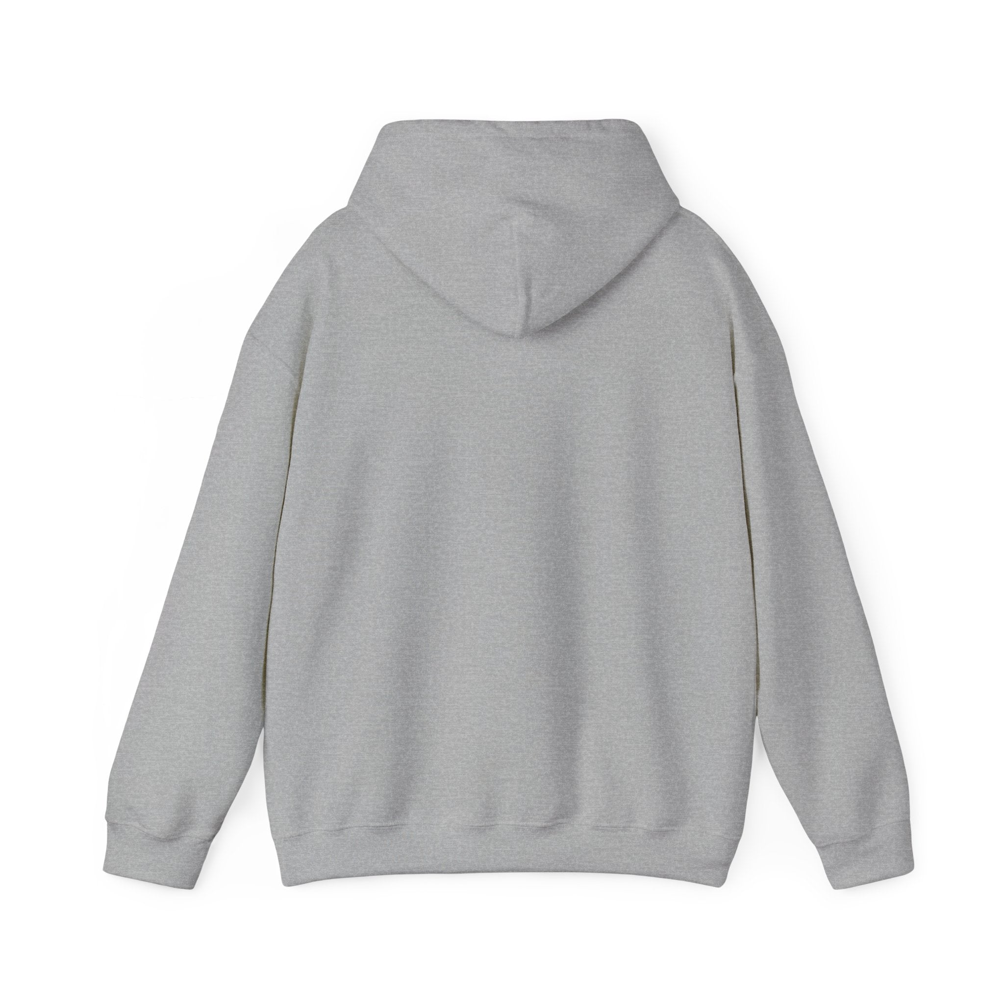 Classic Unisex Hoodie | Heavy Blend Fleece Sweatshirt