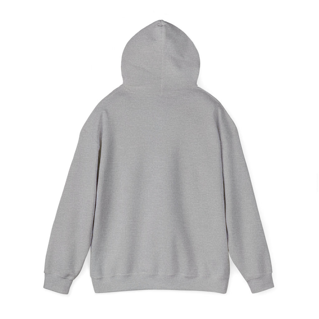 Classic Unisex Hoodie | Heavy Blend Fleece Sweatshirt