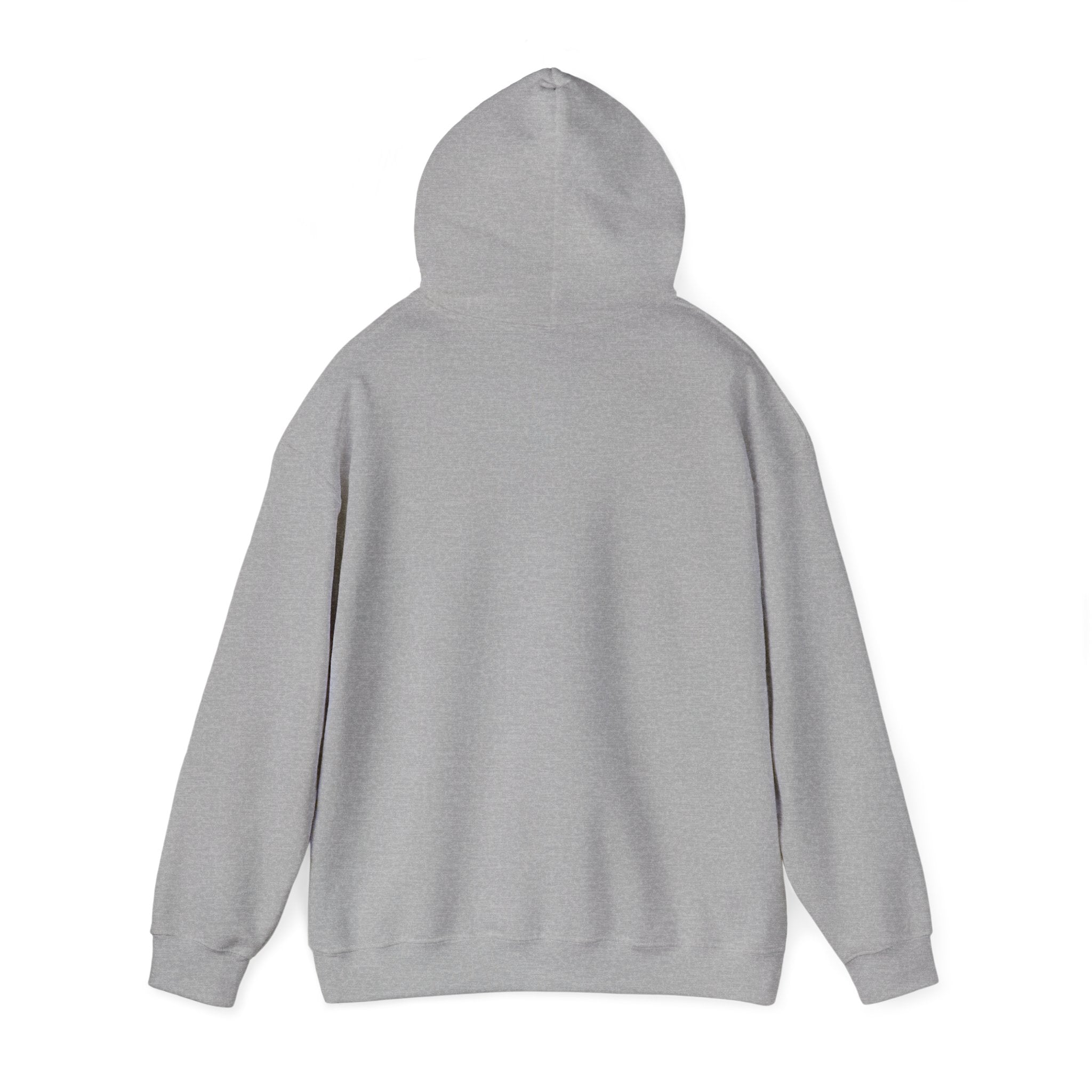 Classic Unisex Hoodie | Heavy Blend Fleece Sweatshirt