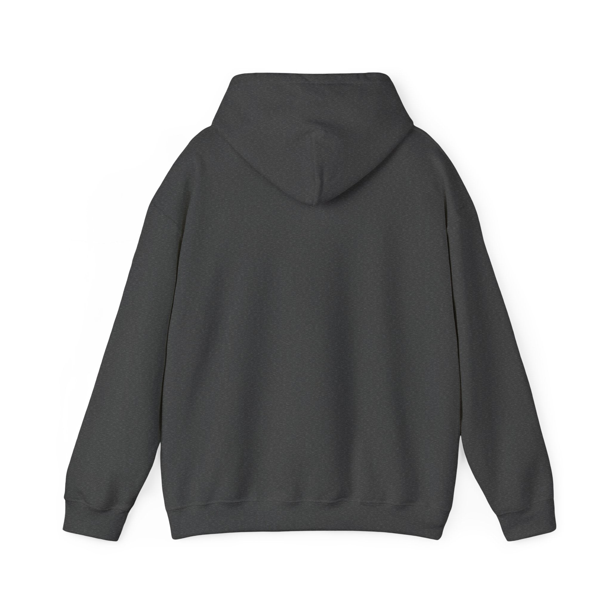 Classic Unisex Hoodie | Heavy Blend Fleece Sweatshirt
