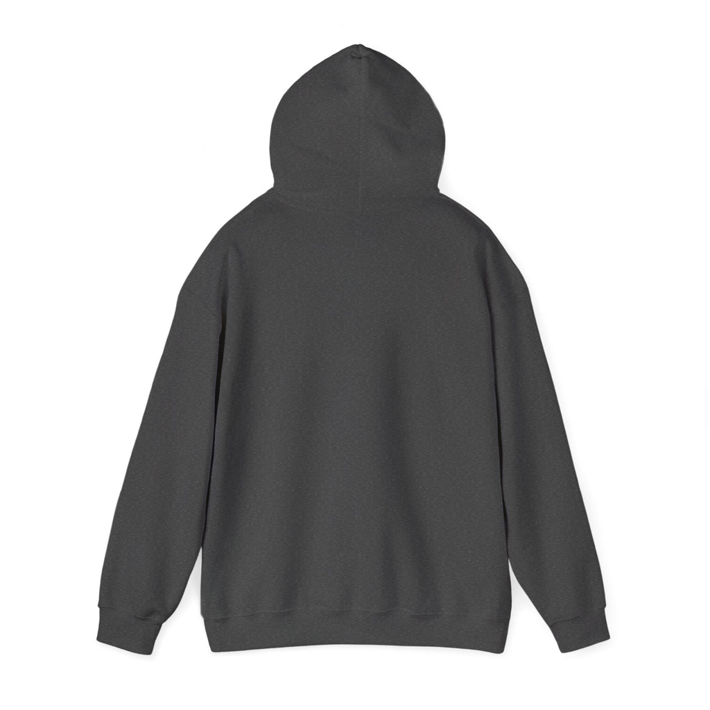 Classic Unisex Hoodie | Heavy Blend Fleece Sweatshirt