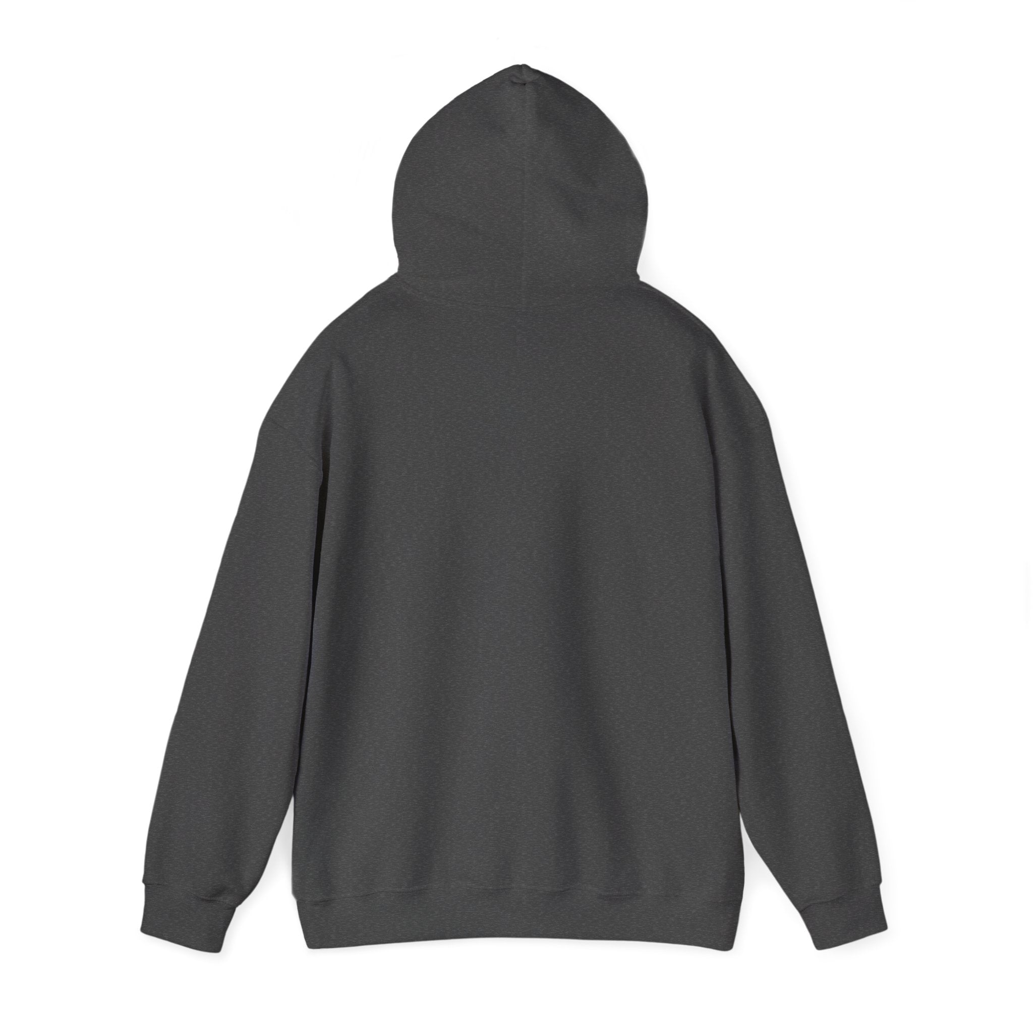 Classic Unisex Hoodie | Heavy Blend Fleece Sweatshirt